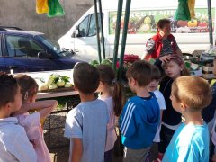 20180511_081924.jpg